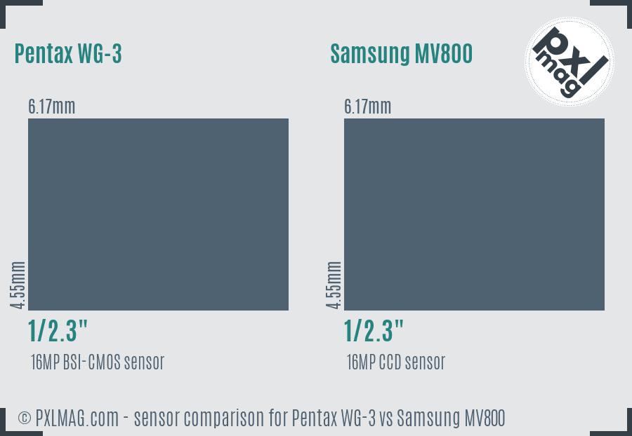 Pentax WG-3 vs Samsung MV800 sensor size comparison