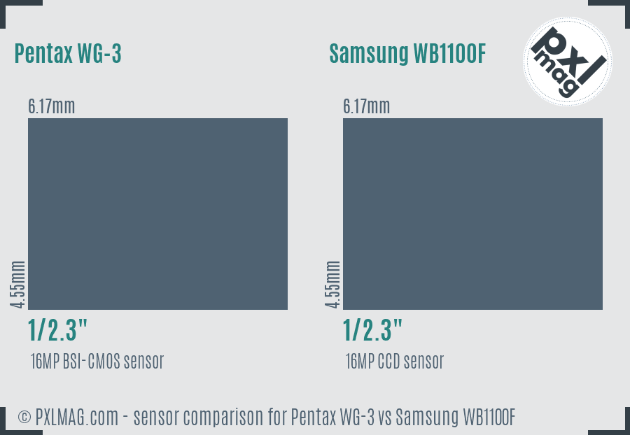 Pentax WG-3 vs Samsung WB1100F sensor size comparison