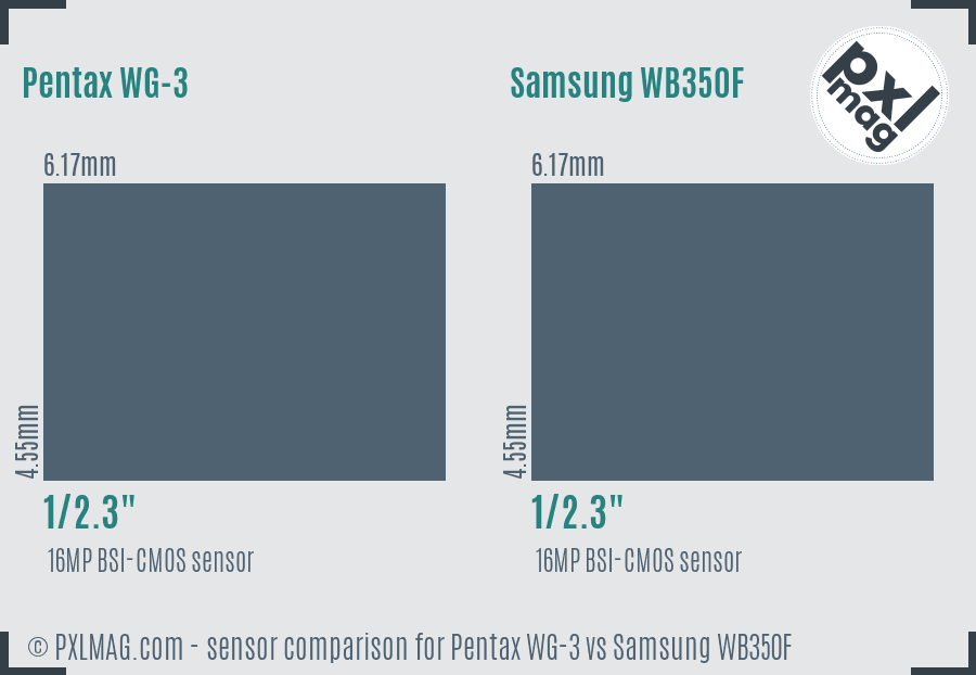 Pentax WG-3 vs Samsung WB350F sensor size comparison