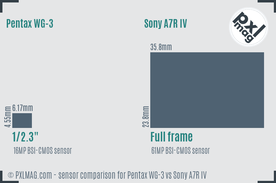 Pentax WG-3 vs Sony A7R IV sensor size comparison