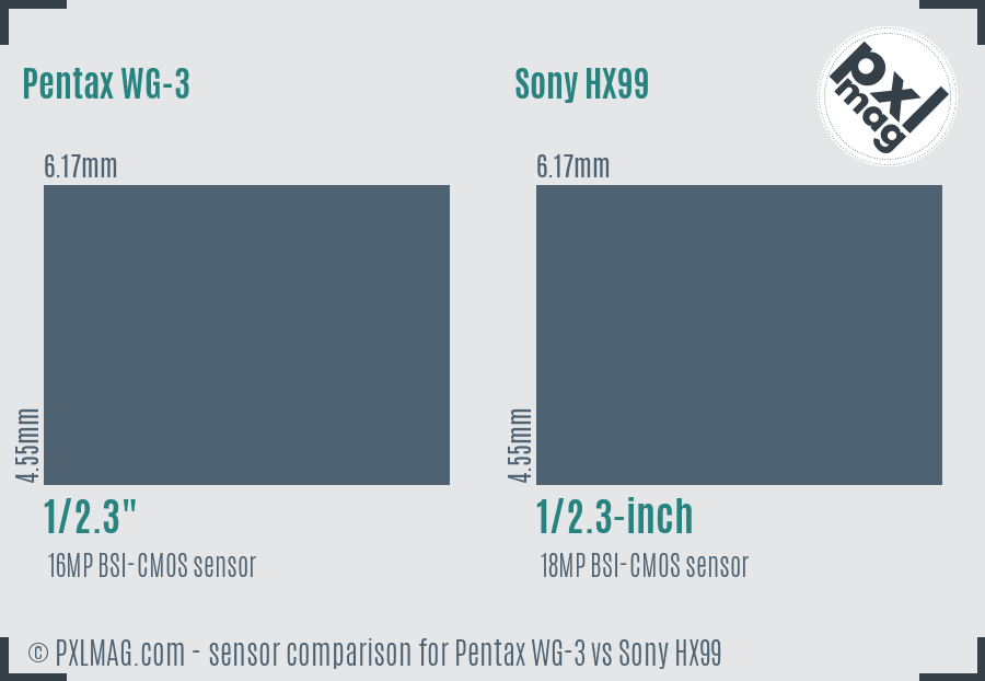 Pentax WG-3 vs Sony HX99 sensor size comparison