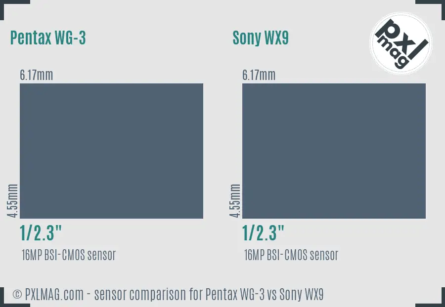 Pentax WG-3 vs Sony WX9 sensor size comparison