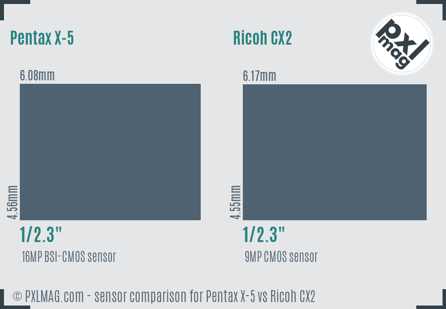 Pentax X-5 vs Ricoh CX2 sensor size comparison
