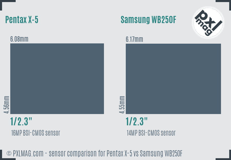 Pentax X-5 vs Samsung WB250F sensor size comparison