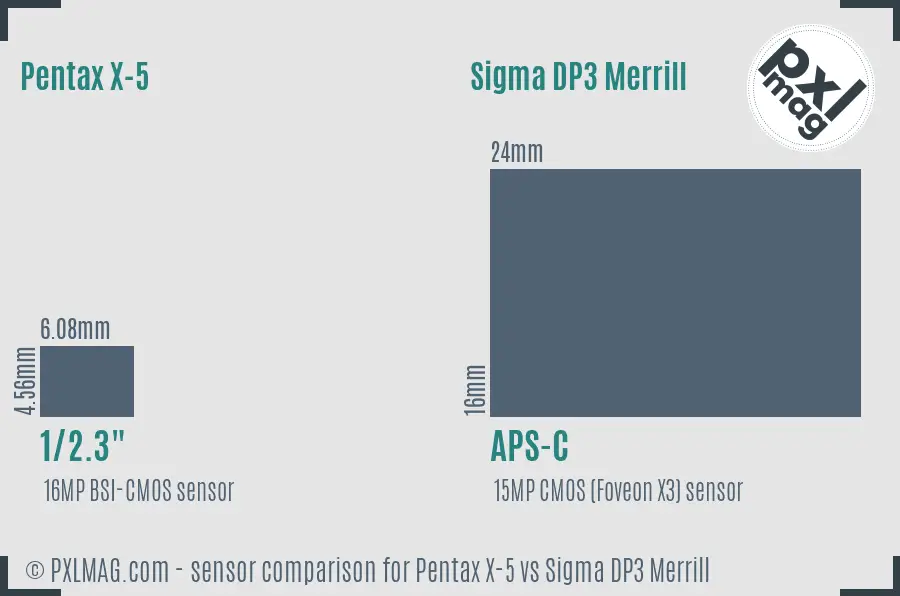 Pentax X-5 vs Sigma DP3 Merrill sensor size comparison