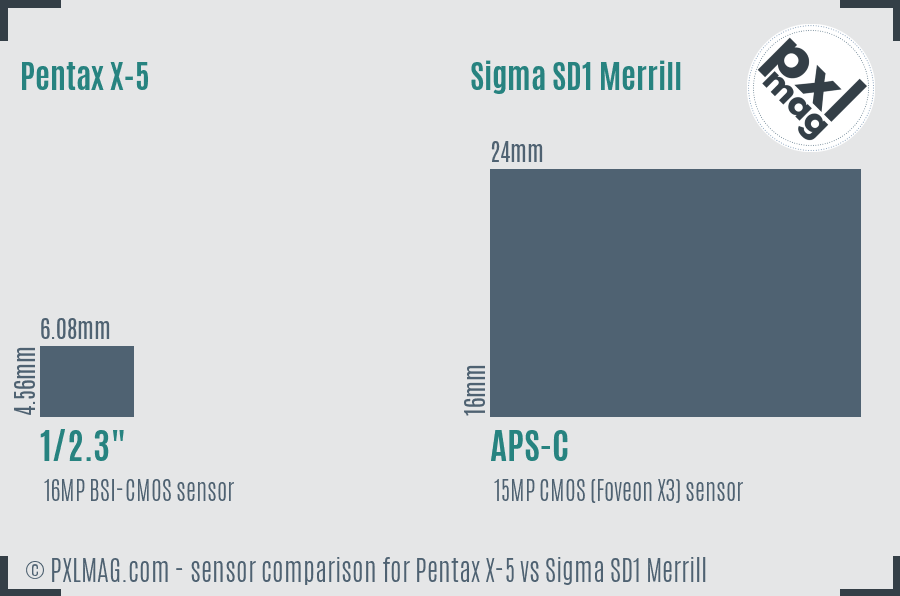 Pentax X-5 vs Sigma SD1 Merrill sensor size comparison