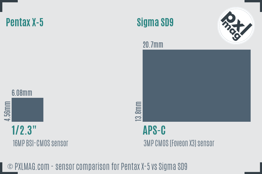 Pentax X-5 vs Sigma SD9 sensor size comparison