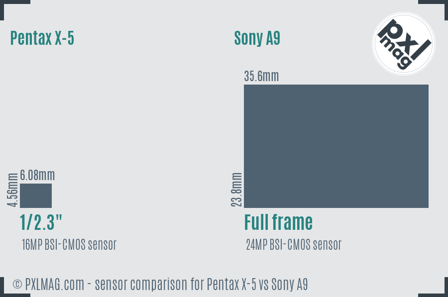 Pentax X-5 vs Sony A9 sensor size comparison