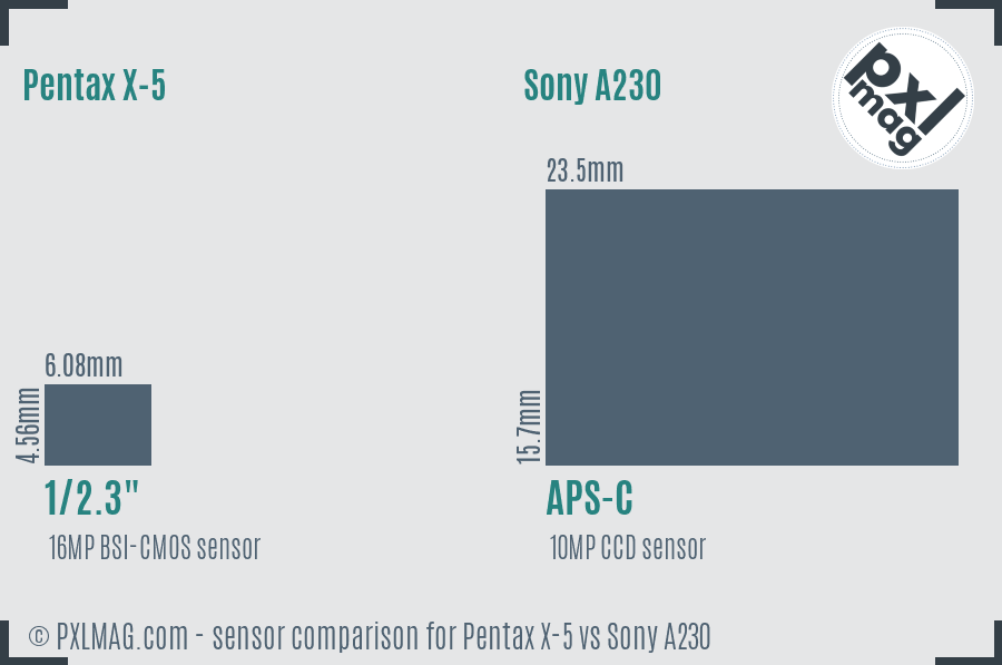 Pentax X-5 vs Sony A230 sensor size comparison