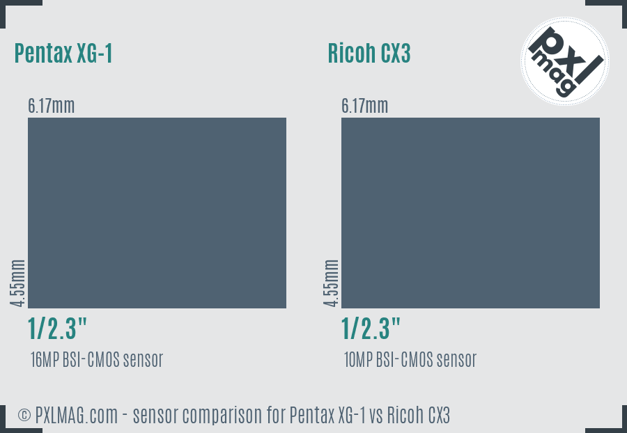 Pentax XG-1 vs Ricoh CX3 sensor size comparison