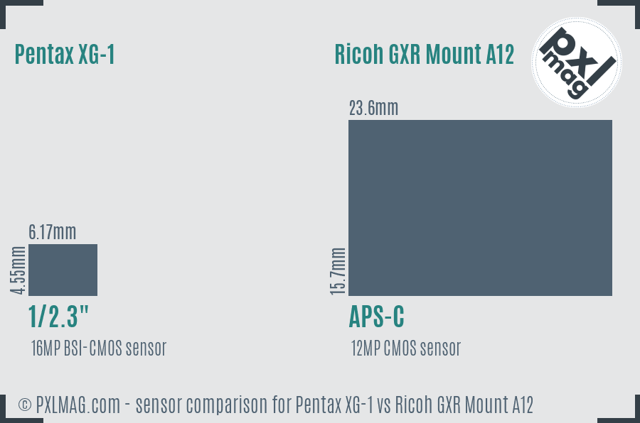Pentax XG-1 vs Ricoh GXR Mount A12 sensor size comparison