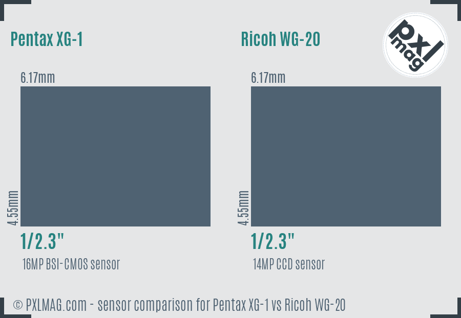 Pentax XG-1 vs Ricoh WG-20 sensor size comparison