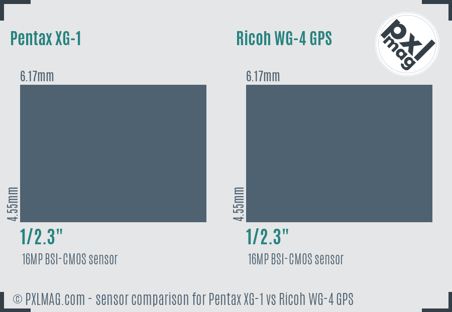 Pentax XG-1 vs Ricoh WG-4 GPS sensor size comparison
