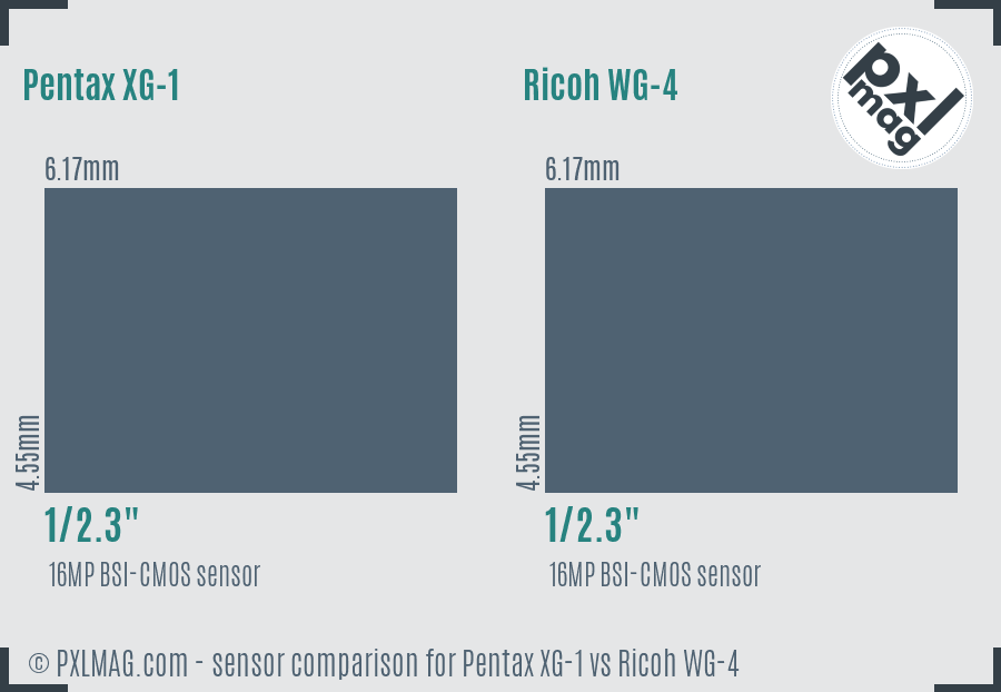 Pentax XG-1 vs Ricoh WG-4 sensor size comparison