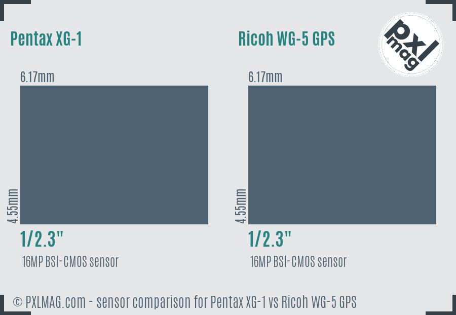 Pentax XG-1 vs Ricoh WG-5 GPS sensor size comparison