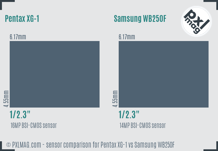 Pentax XG-1 vs Samsung WB250F sensor size comparison