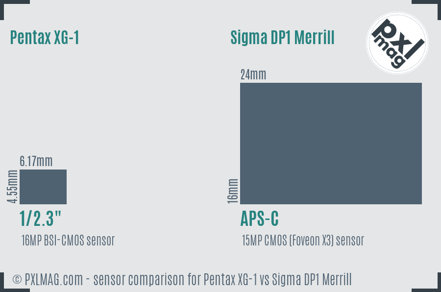 Pentax XG-1 vs Sigma DP1 Merrill sensor size comparison