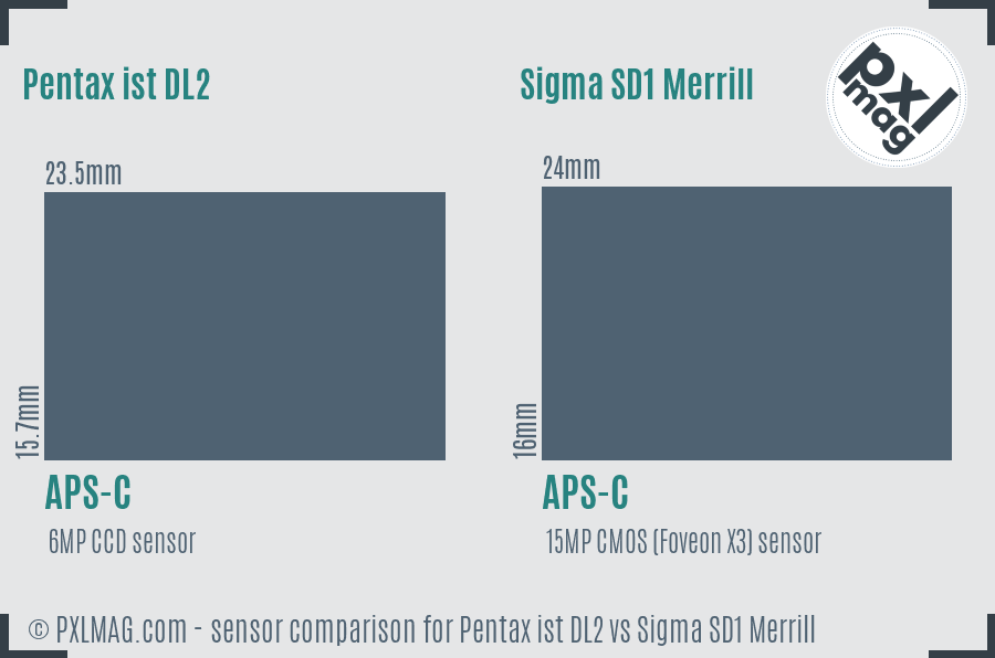 Pentax ist DL2 vs Sigma SD1 Merrill sensor size comparison