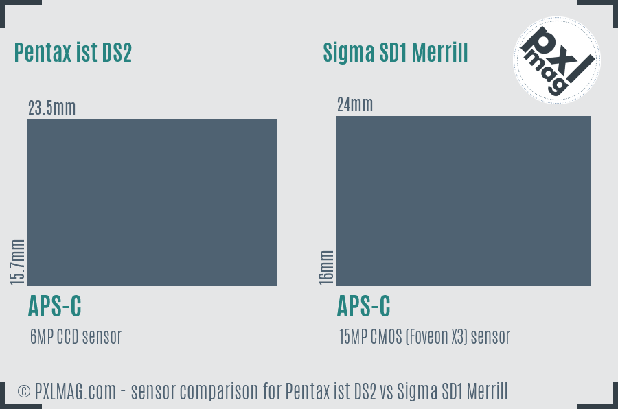 Pentax ist DS2 vs Sigma SD1 Merrill sensor size comparison Pentax ist DS2 vs Sigma SD1 Merrill sensor size comparison
