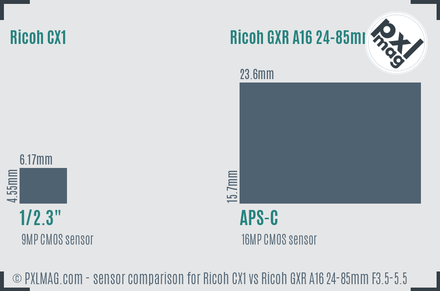 Ricoh CX1 vs Ricoh GXR A16 24-85mm F3.5-5.5 sensor size comparison