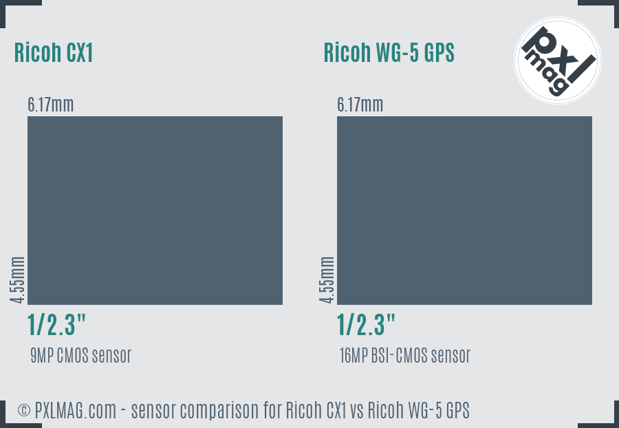 Ricoh CX1 vs Ricoh WG-5 GPS sensor size comparison