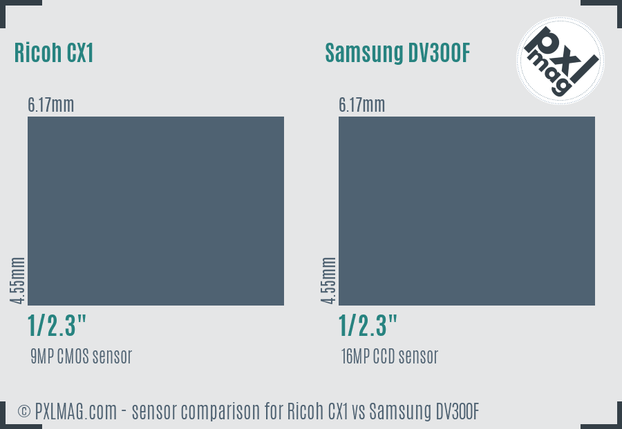 Ricoh CX1 vs Samsung DV300F sensor size comparison
