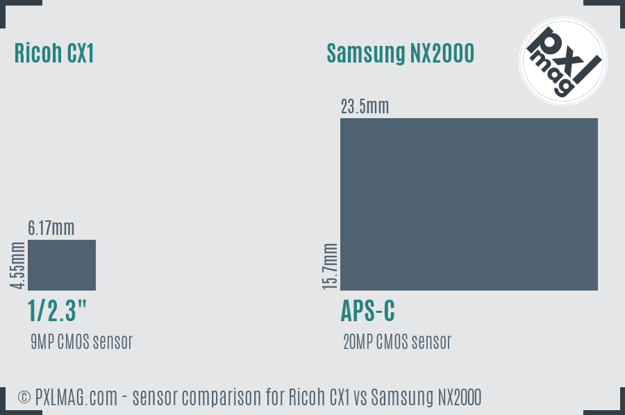 Ricoh CX1 vs Samsung NX2000 sensor size comparison