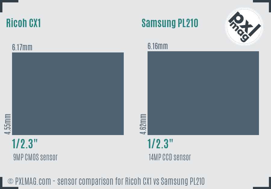 Ricoh CX1 vs Samsung PL210 sensor size comparison