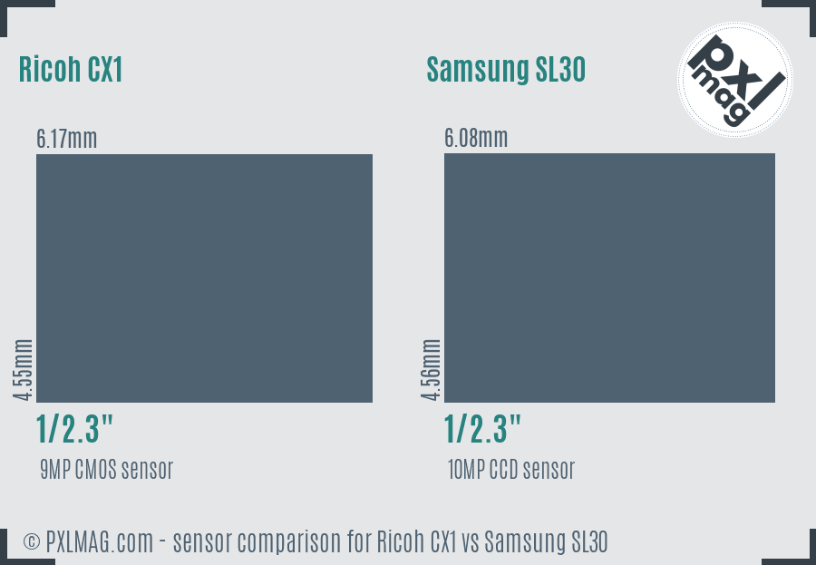 Ricoh CX1 vs Samsung SL30 sensor size comparison