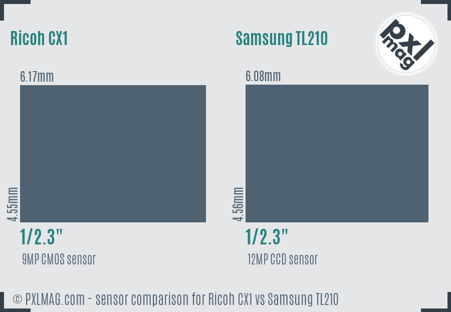 Ricoh CX1 vs Samsung TL210 sensor size comparison