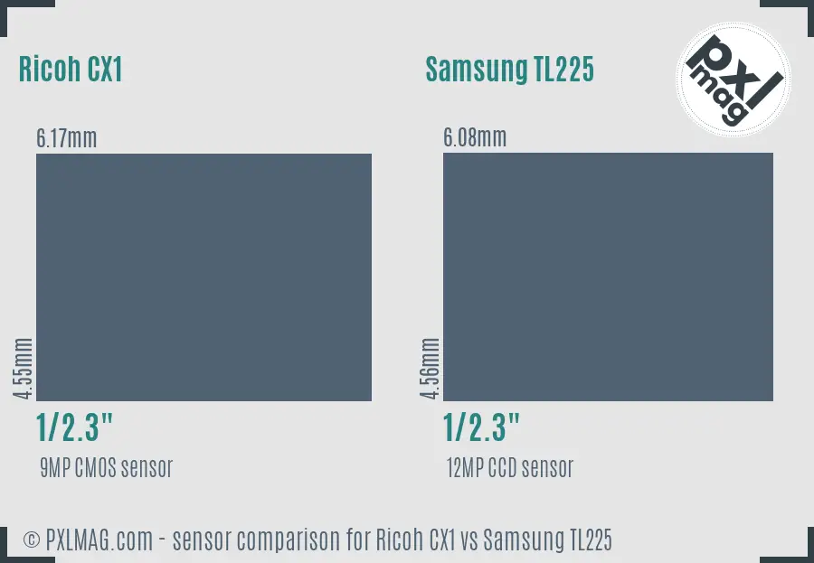 Ricoh CX1 vs Samsung TL225 sensor size comparison
