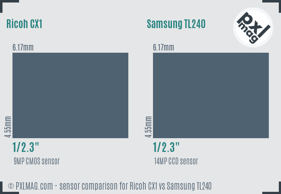 Ricoh CX1 vs Samsung TL240 sensor size comparison