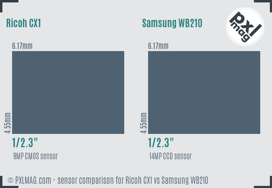 Ricoh CX1 vs Samsung WB210 sensor size comparison