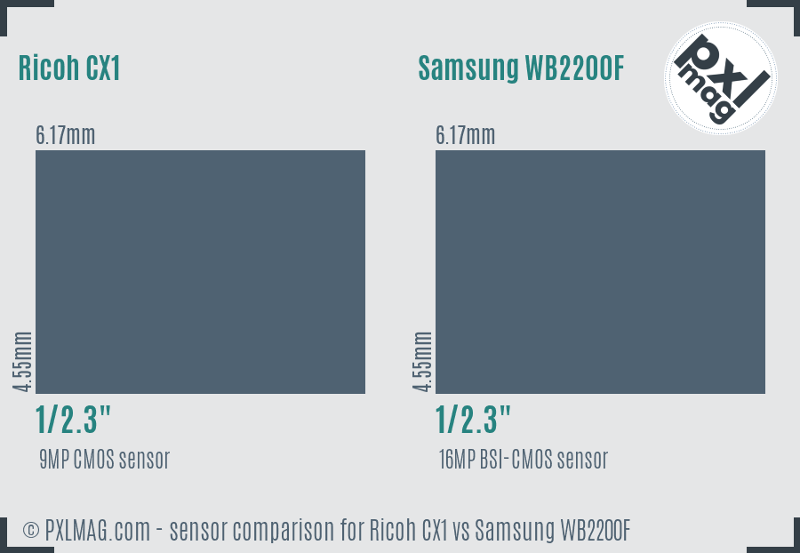 Ricoh CX1 vs Samsung WB2200F sensor size comparison