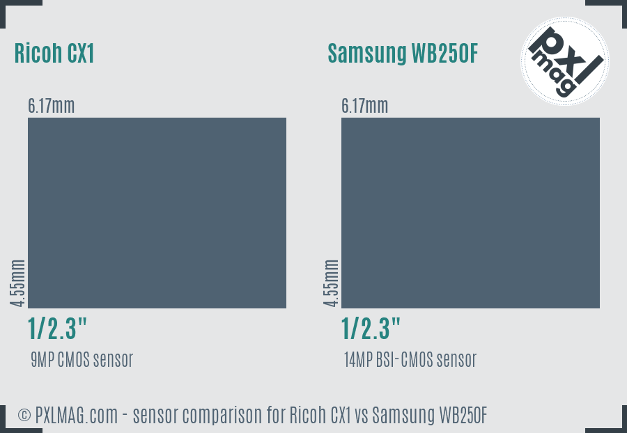 Ricoh CX1 vs Samsung WB250F sensor size comparison