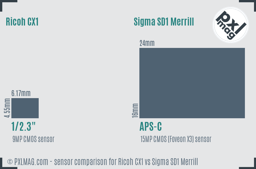 Ricoh CX1 vs Sigma SD1 Merrill sensor size comparison