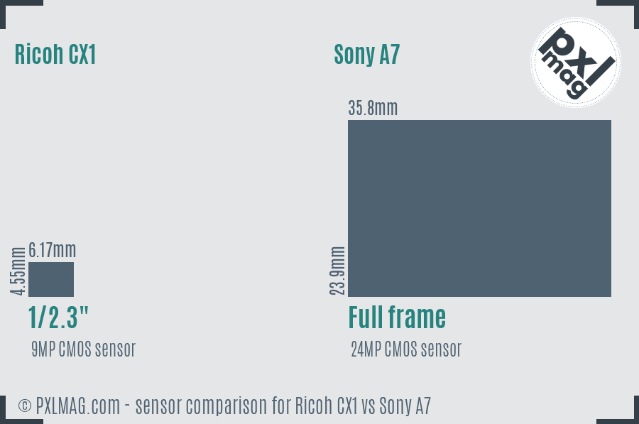 Ricoh CX1 vs Sony A7 sensor size comparison