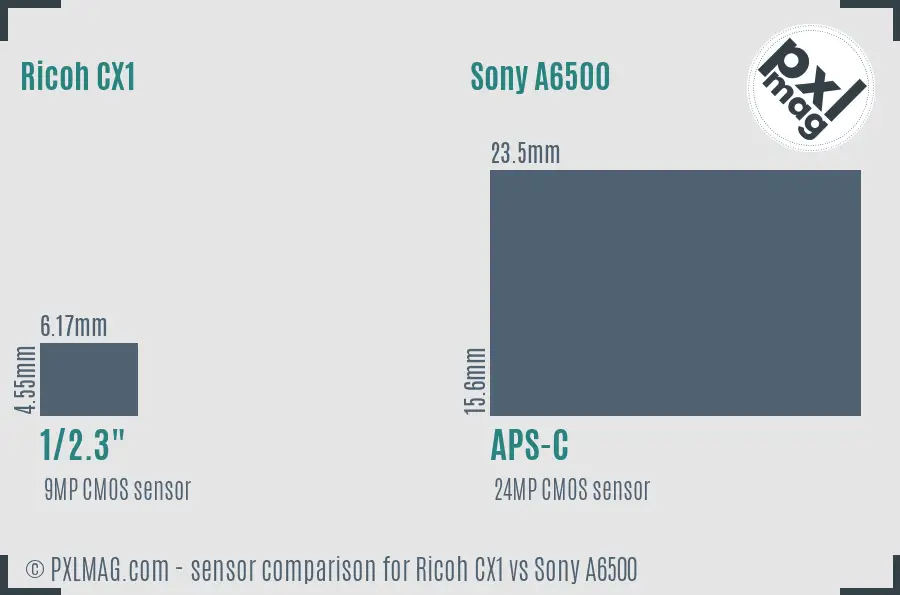 Ricoh CX1 vs Sony A6500 sensor size comparison