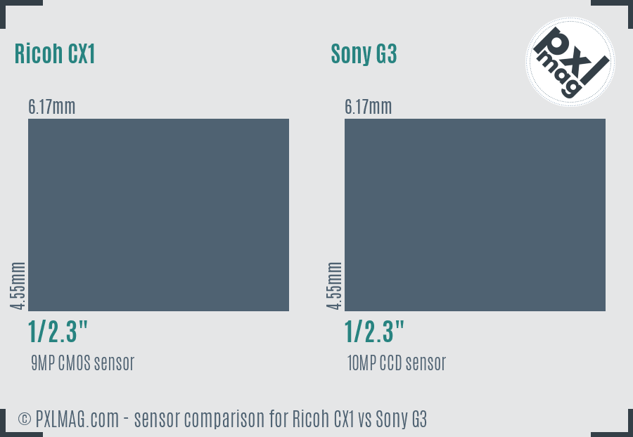 Ricoh CX1 vs Sony G3 sensor size comparison