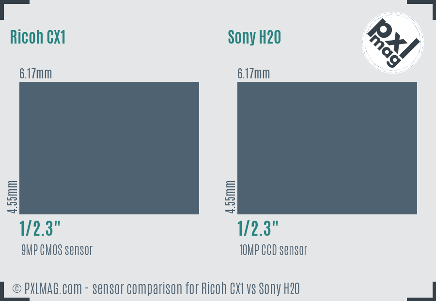 Ricoh CX1 vs Sony H20 sensor size comparison