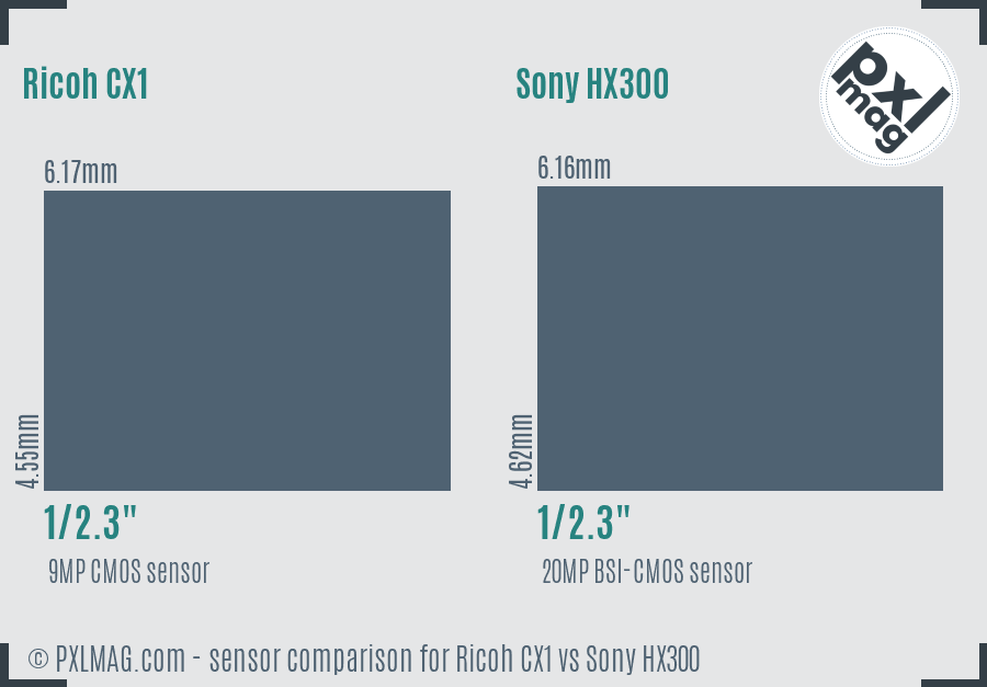 Ricoh CX1 vs Sony HX300 sensor size comparison