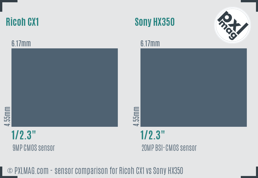 Ricoh CX1 vs Sony HX350 sensor size comparison