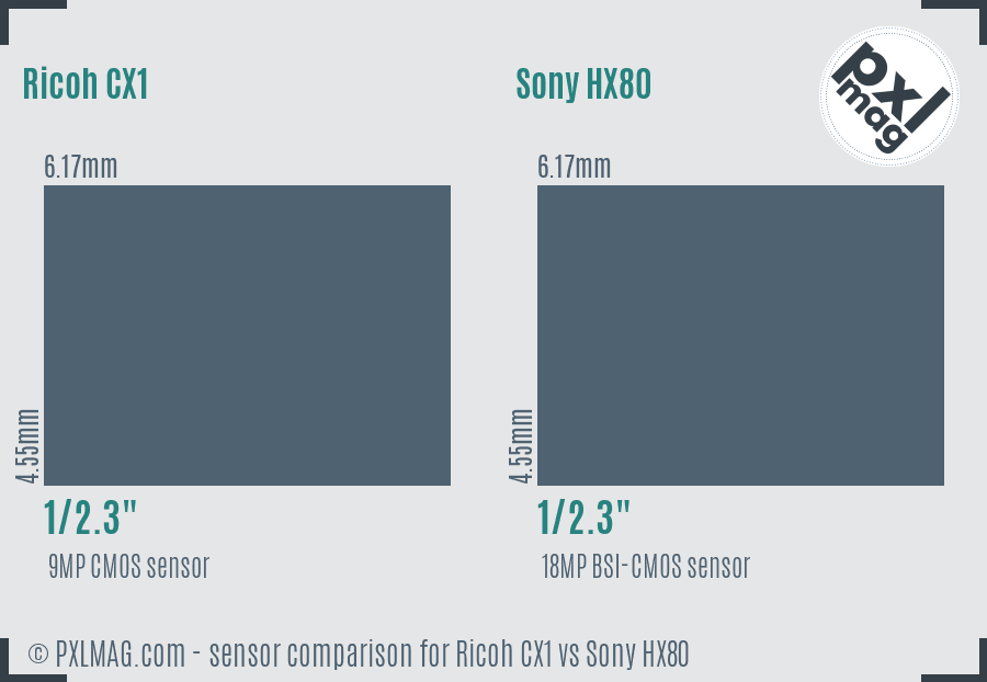 Ricoh CX1 vs Sony HX80 sensor size comparison