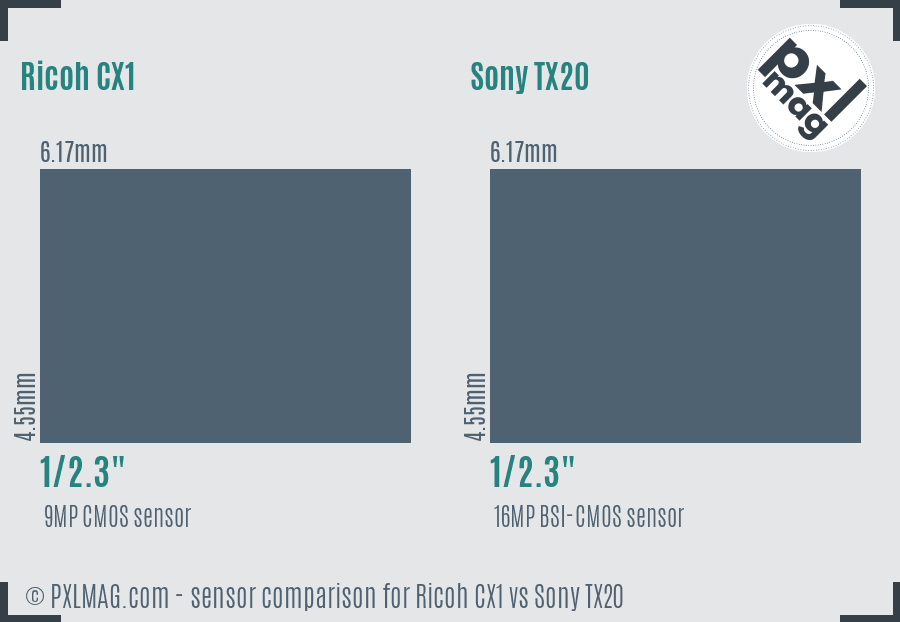 Ricoh CX1 vs Sony TX20 sensor size comparison