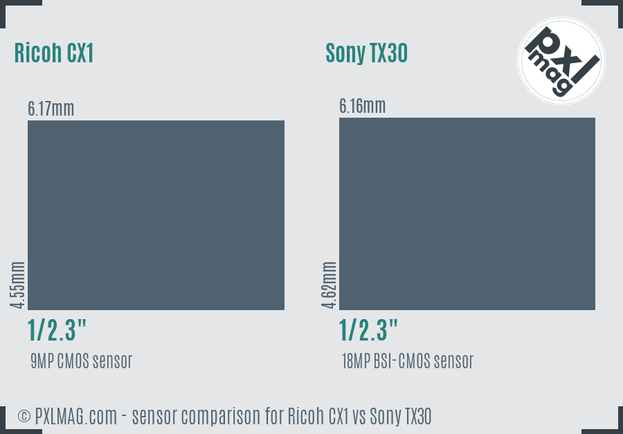 Ricoh CX1 vs Sony TX30 sensor size comparison