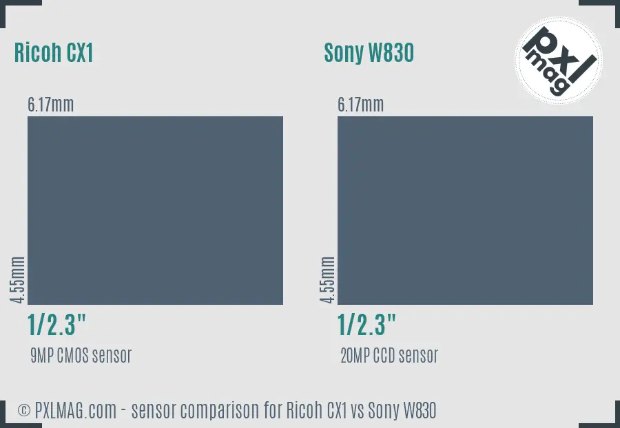 Ricoh CX1 vs Sony W830 sensor size comparison