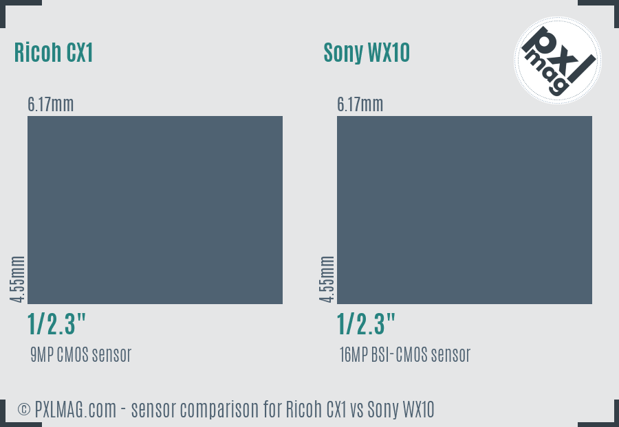 Ricoh CX1 vs Sony WX10 sensor size comparison