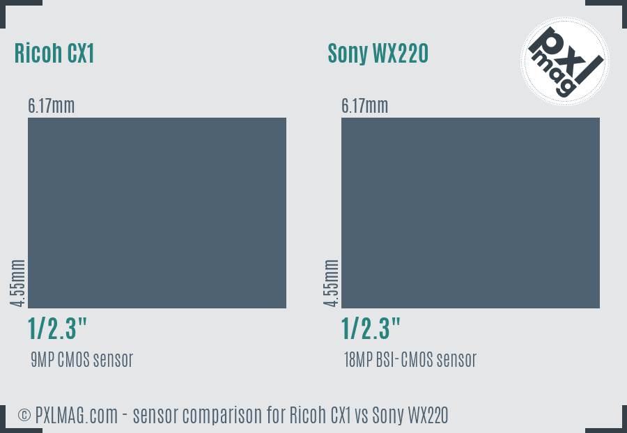 Ricoh CX1 vs Sony WX220 sensor size comparison