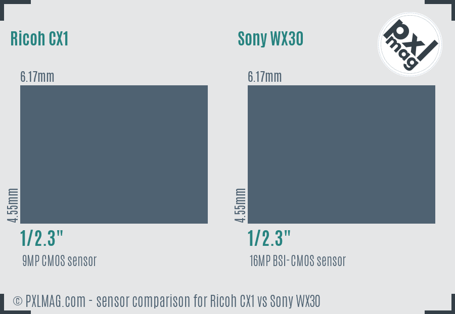 Ricoh CX1 vs Sony WX30 sensor size comparison