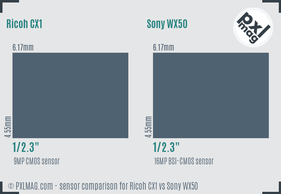 Ricoh CX1 vs Sony WX50 sensor size comparison